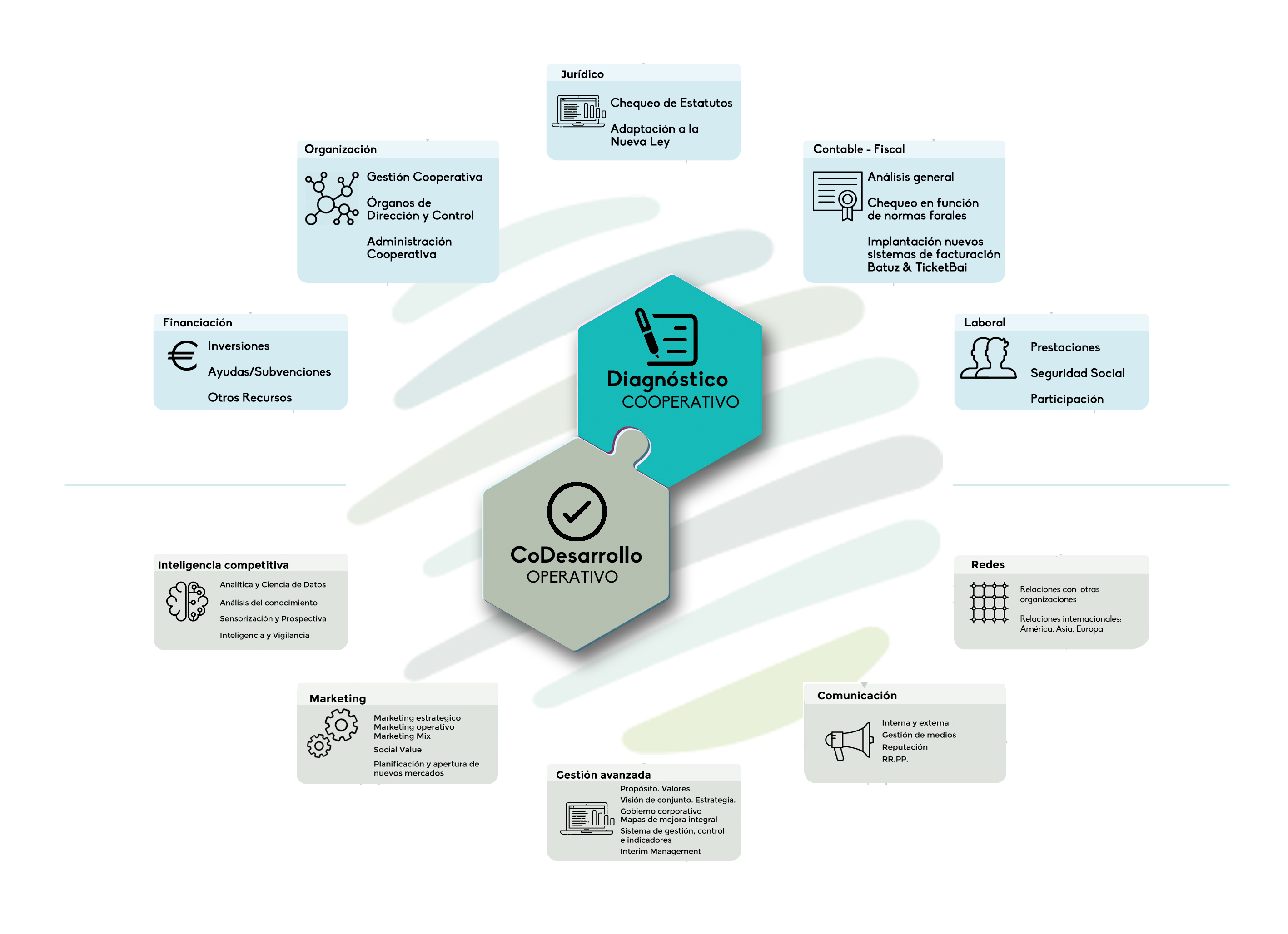 Diagnóstico Cooperativo Desarrollo Operativo
